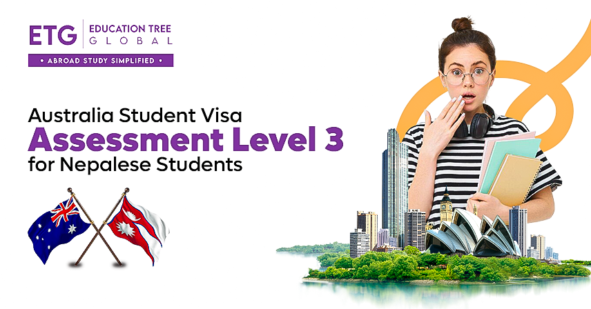 Visa Assessment Level 3